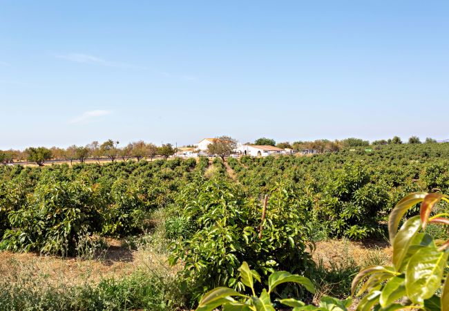 Casa em Cabanas de tavira - Ria Endless South  By Gt House Casa em Cabanas de tavira - Ria Endless South  By Gt House