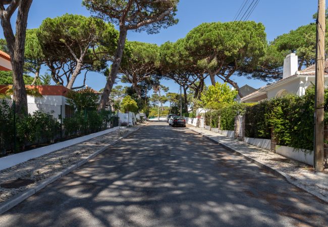 Casa em Colares - Charming  House and Terrace By Gt House Casa em Colares - Charming  House and Terrace By Gt House
