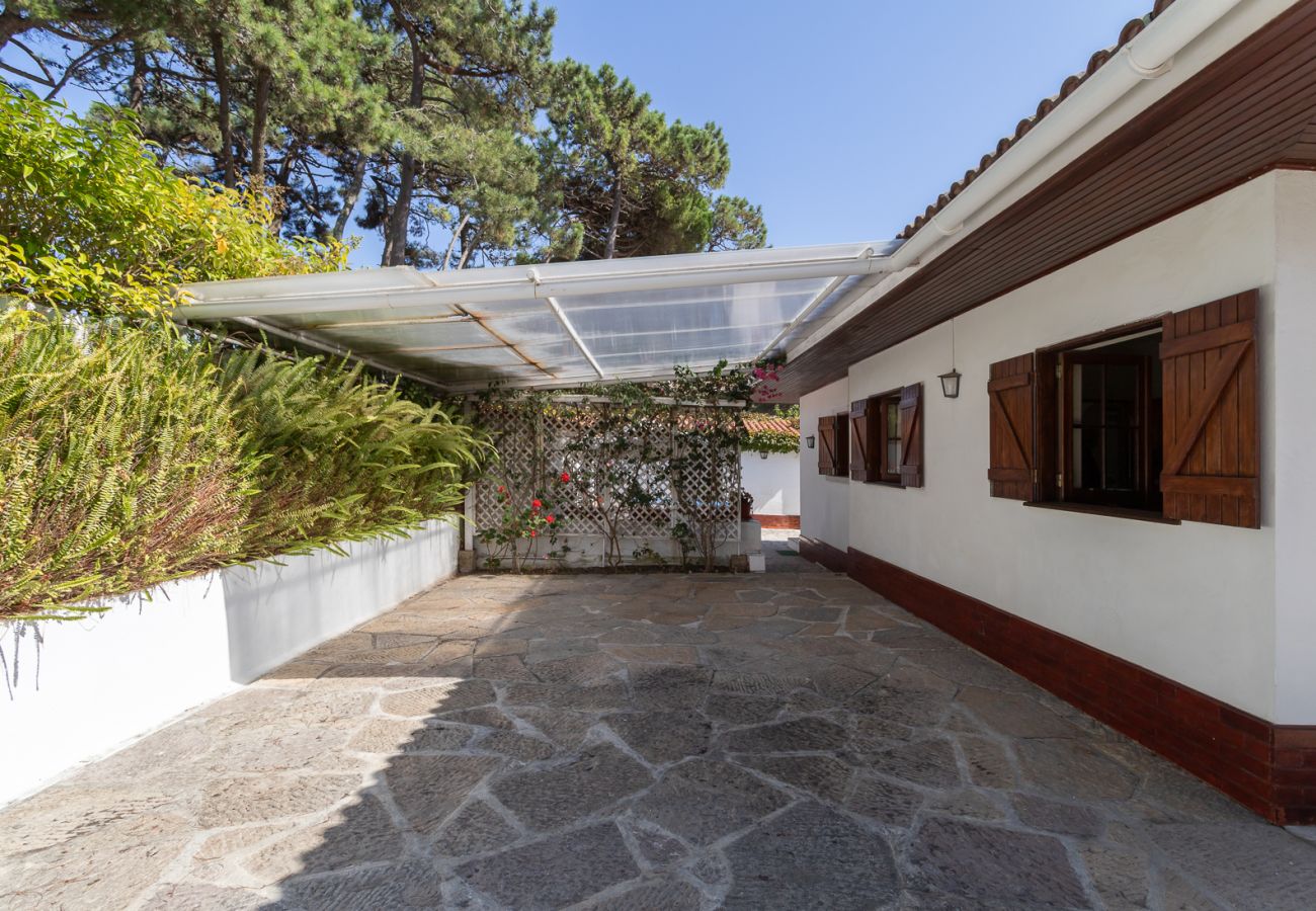 Casa em Colares - Charming  House and Terrace By Gt House
