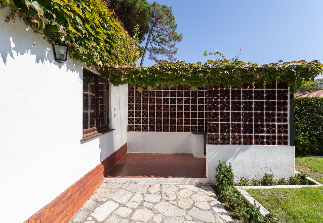 Casa em Colares - Charming  House and Terrace By Gt House