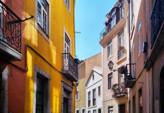 Studio in Lisboa - Terreirinho