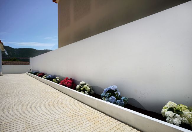 Villa in Alcobaça - Casa da Aldeia em Alcobaça