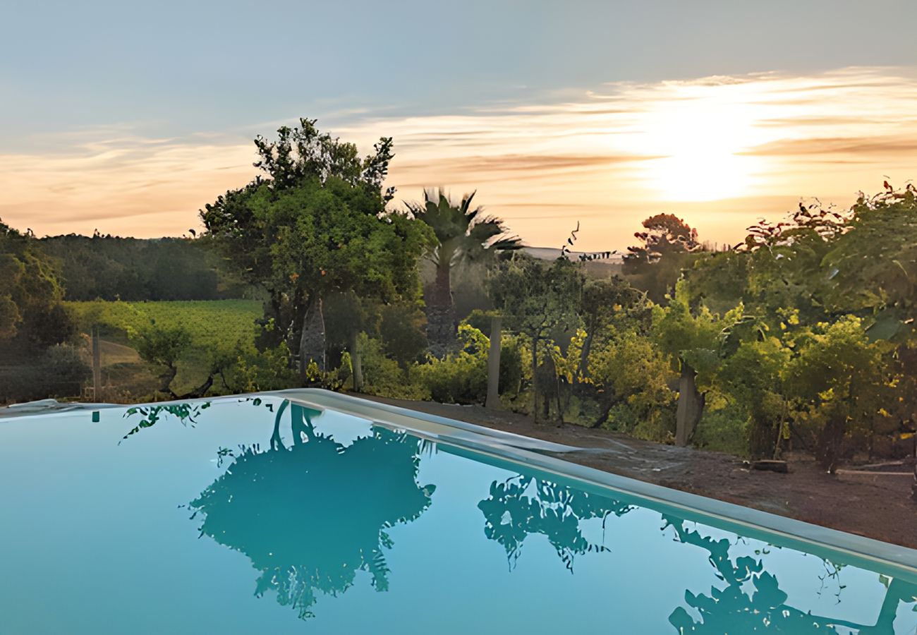 Villa in Nesperal - Bonjardim Wine Farm House By Gt House