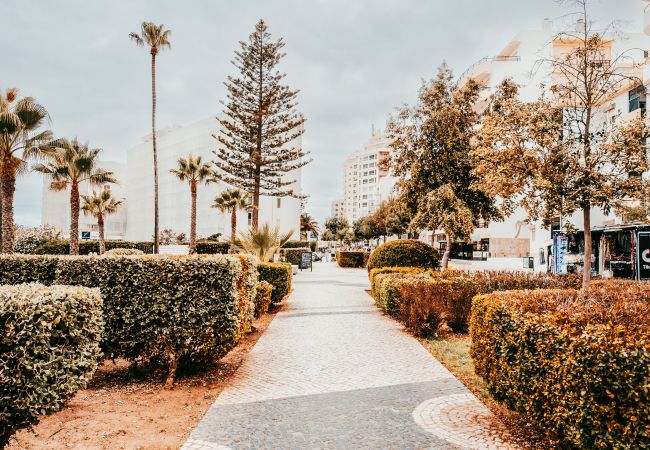 Apartment in Armação de Pêra - Beach House By Gt House Apartment in Armação de Pêra - Beach House By Gt House