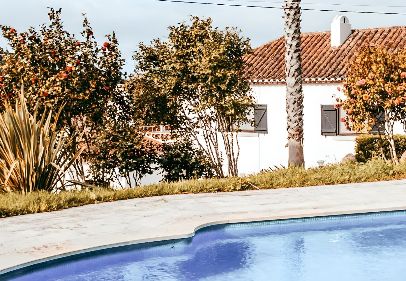 House in Sintra - Oliveira's Houses By Gthouse