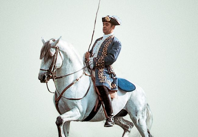 Apartment in Golegã - Golegã Boutique Apartment By Gt House Apartment in Golegã - Golegã Boutique Apartment By Gt House