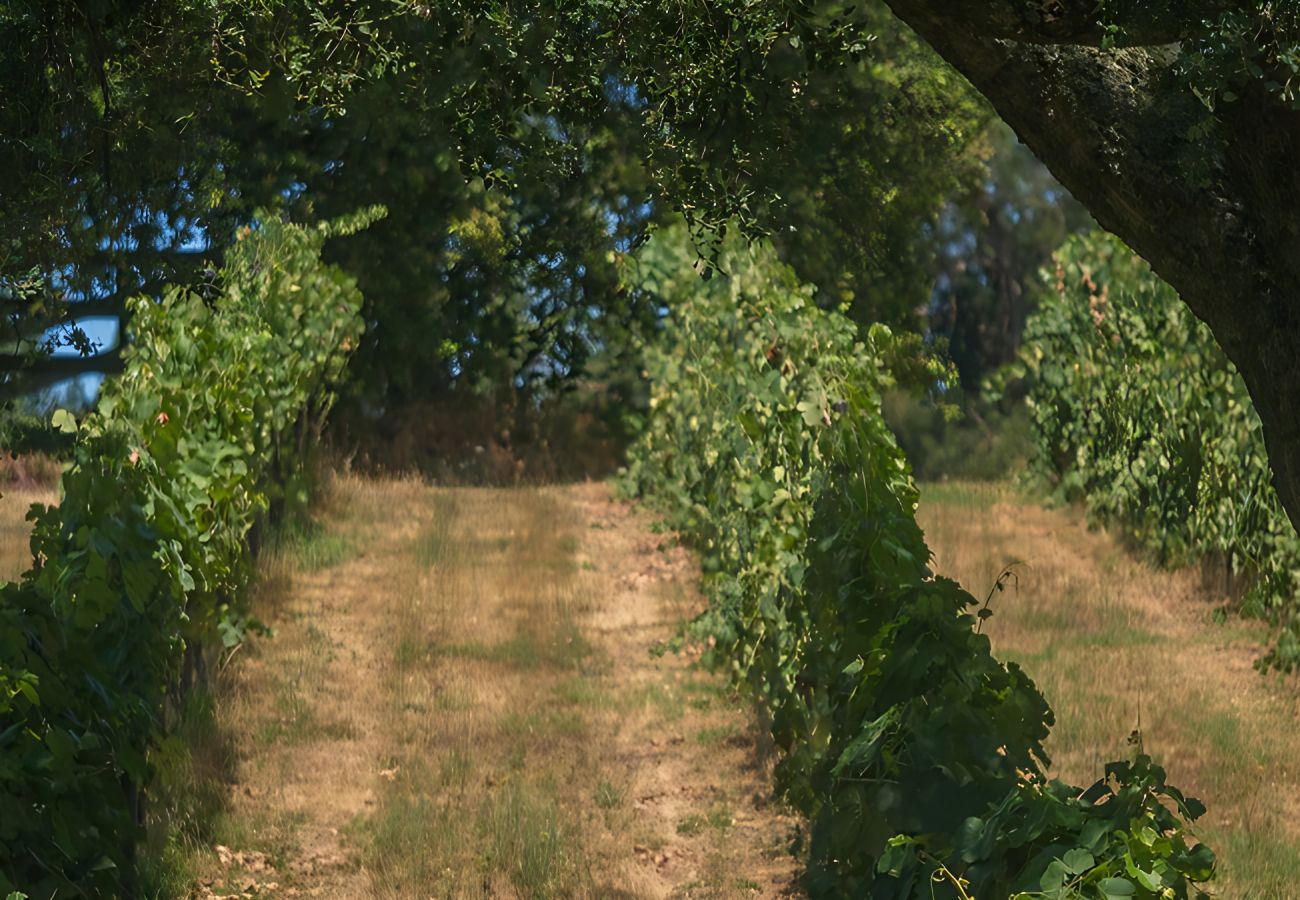 Cottage in Nesperal - Bonjardim Boutique Villa by Gt House