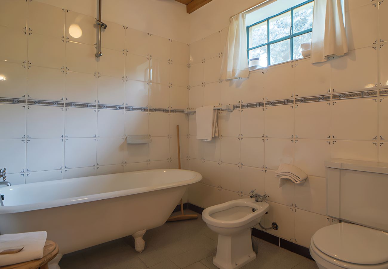 Villa en Nesperal - Bonjardim Wine Farm House By Gt House