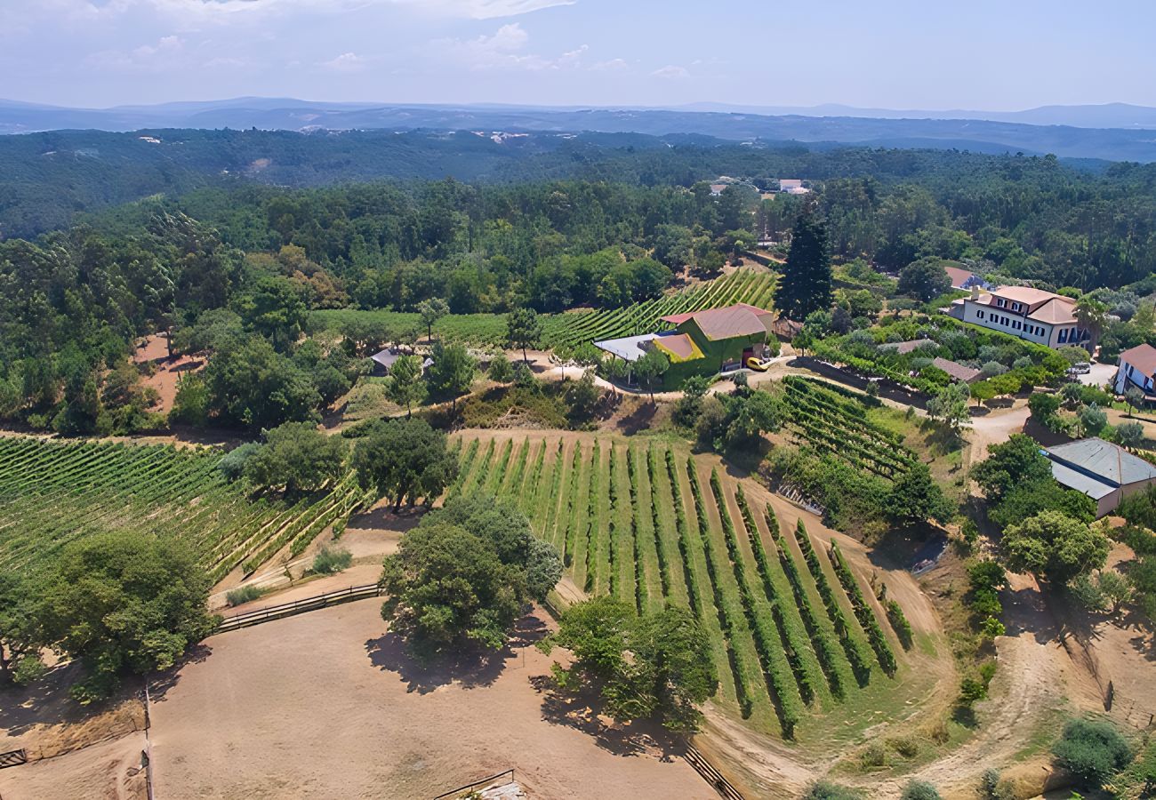 Villa à Nesperal - Bonjardim Wine Farm House By Gt House