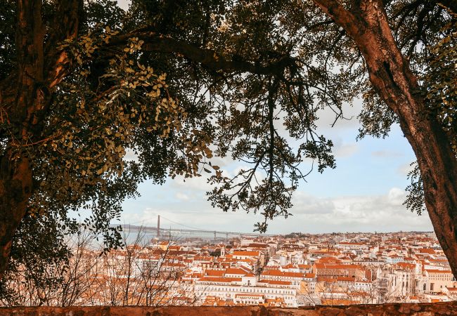 Appartamento a Lisboa - Kalathos House 1 with Terrace By Gt  House Appartamento a Lisboa - Kalathos House 1 with Terrace By Gt  House
