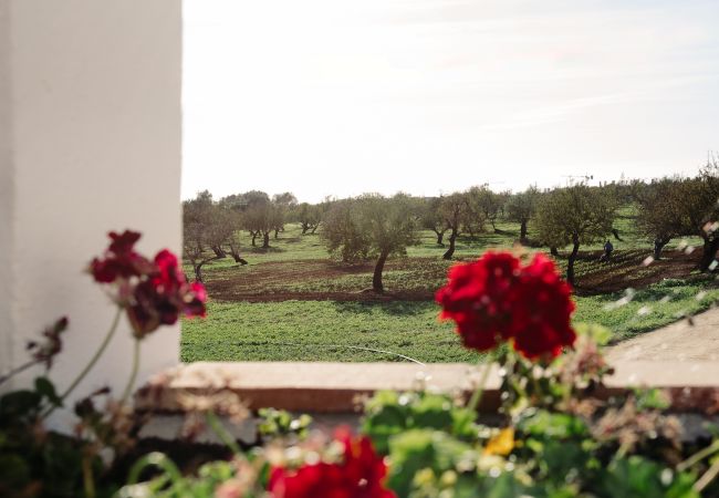 Casa a Cabanas de tavira - Ria Endless South  By Gt House Casa a Cabanas de tavira - Ria Endless South  By Gt House