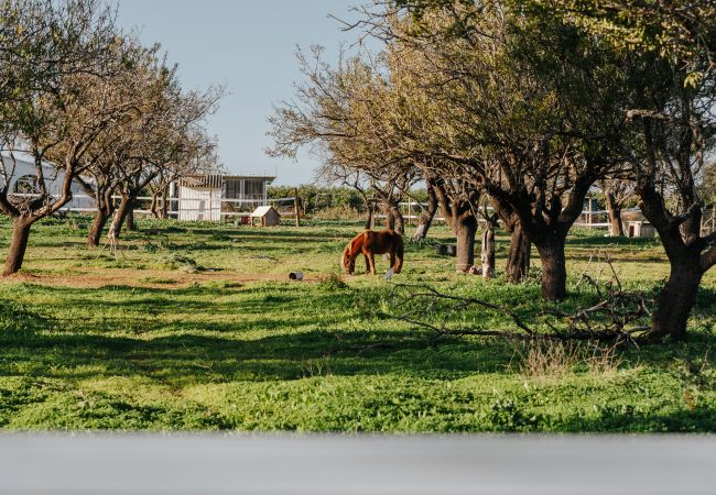Casa a Cabanas de tavira - Ria Endless South  By Gt House Casa a Cabanas de tavira - Ria Endless South  By Gt House