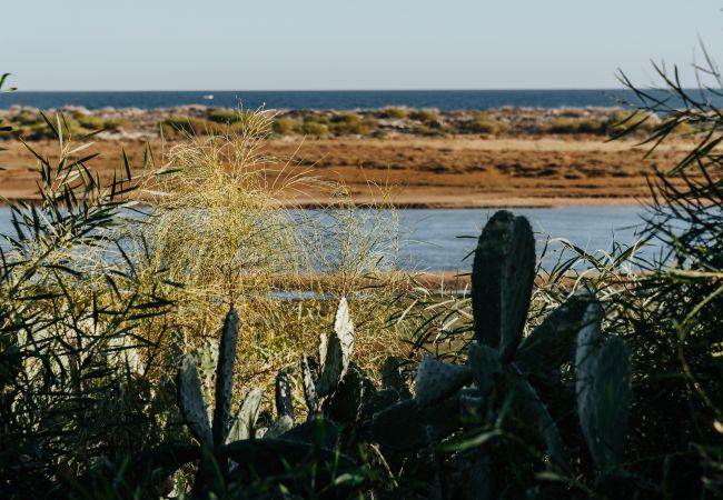 Casa a Cabanas de tavira - Ria Endless South  By Gt House Casa a Cabanas de tavira - Ria Endless South  By Gt House