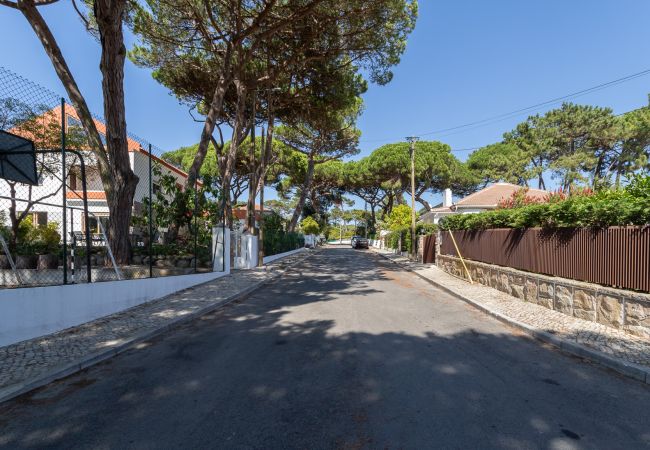 Casa a Colares - Charming  House and Terrace By Gt House Casa a Colares - Charming  House and Terrace By Gt House