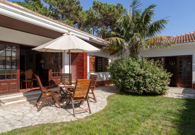 Casa a Colares - Charming  House and Terrace By Gt House Casa a Colares - Charming  House and Terrace By Gt House