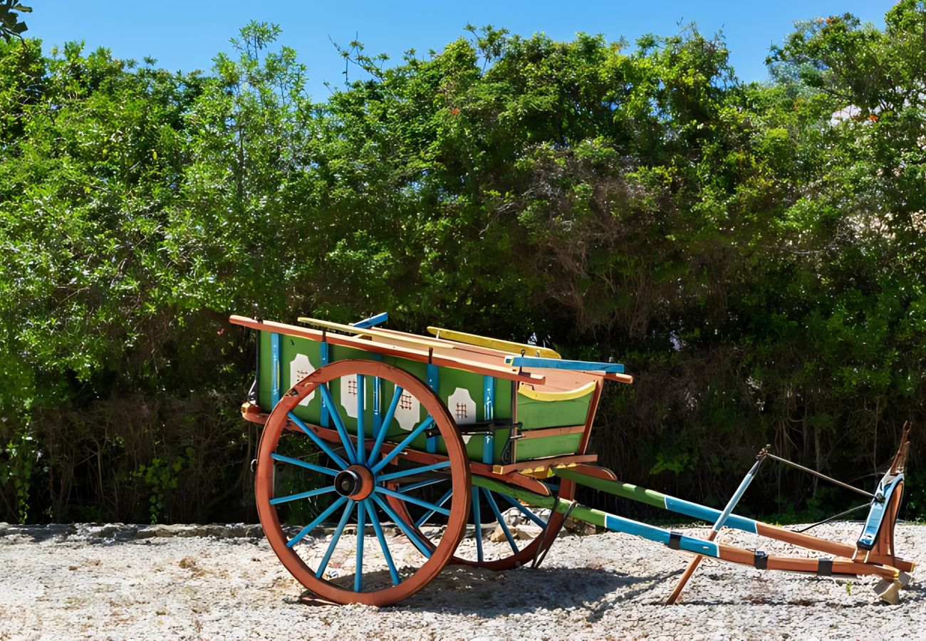 Appartamento a Portimão - Girassol Apartment in Quinta Velha by GT House