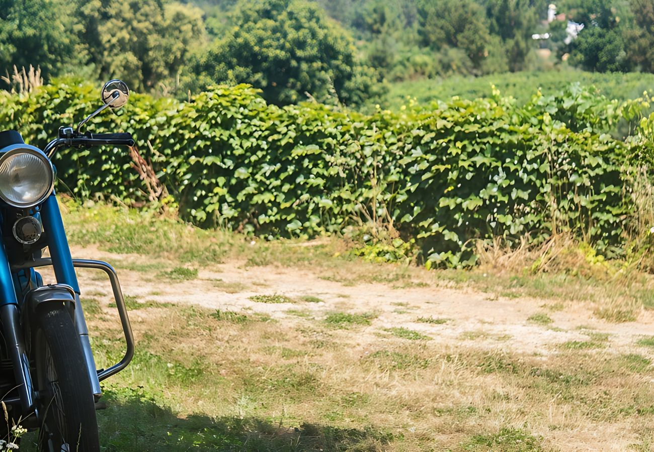 Casa rurale a Nesperal - Bonjardim Boutique Villa by Gt House